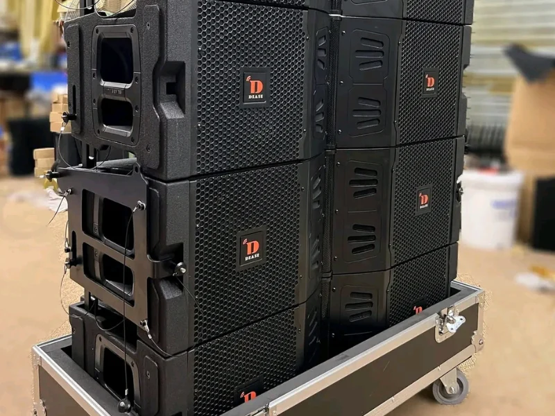 Pro Audio Sound System Line Array Loudspeaker Outdoor Speakers Professional For Hire In Nairobi 11