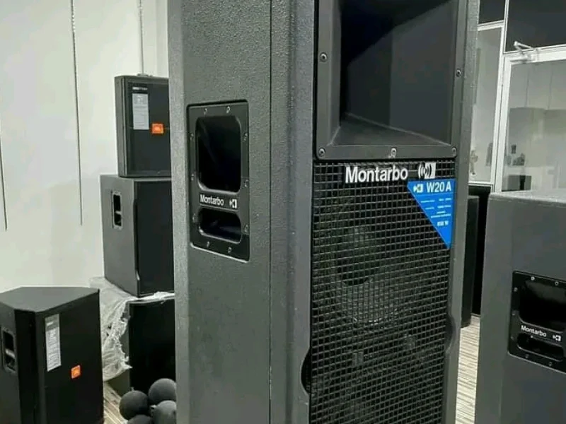Pro Audio Sound System Line Array Loudspeaker Outdoor Speakers Professional For Hire In Nairobi 14